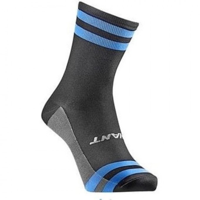 Носки RACE DAY SOCK черный/синий M 820000485