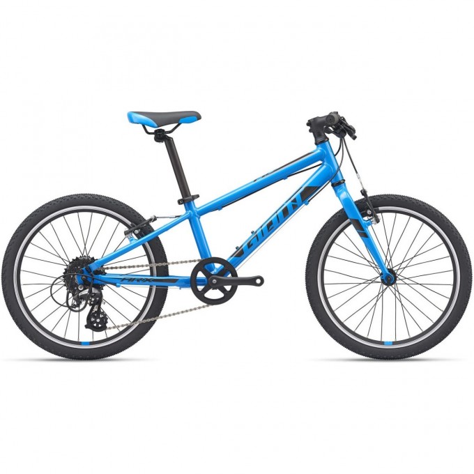 Велосипед детский GIANT ARX 20 (2021) 20 blue 2104040 Blue