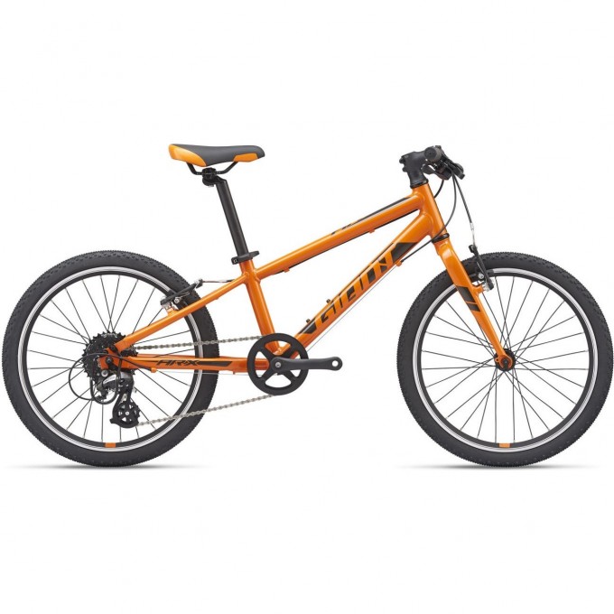 Велосипед детский GIANT ARX 20 (2021) 20 orange 2104040 Orange