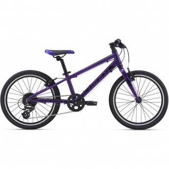 Велосипед детский GIANT ARX 20 (2021) 20 purple