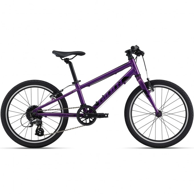 Велосипед детский GIANT ARX 20 (2021) purple 2204040 Purple