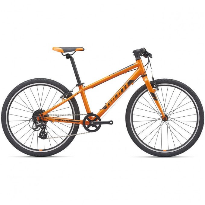 Велосипед детский GIANT ARX 24 (2021) orange 2104041 Orange