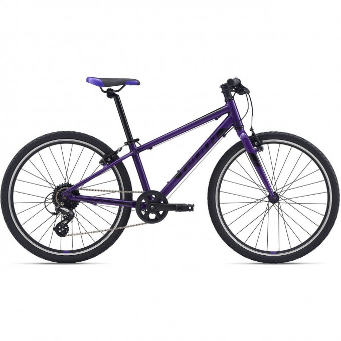 Велосипед детский GIANT ARX 24 (2021) purple 2104041 Purple