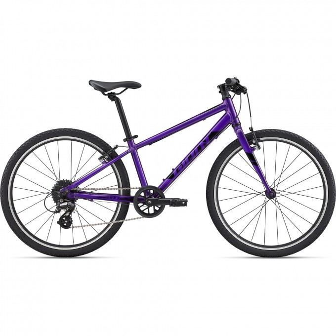 Велосипед детский GIANT ARX 24 (2021) purple 2204041 Purple