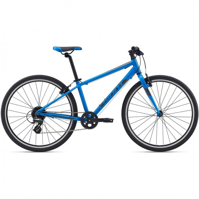 Велосипед детский GIANT ARX 26 (2021) blue 2104046 Blue