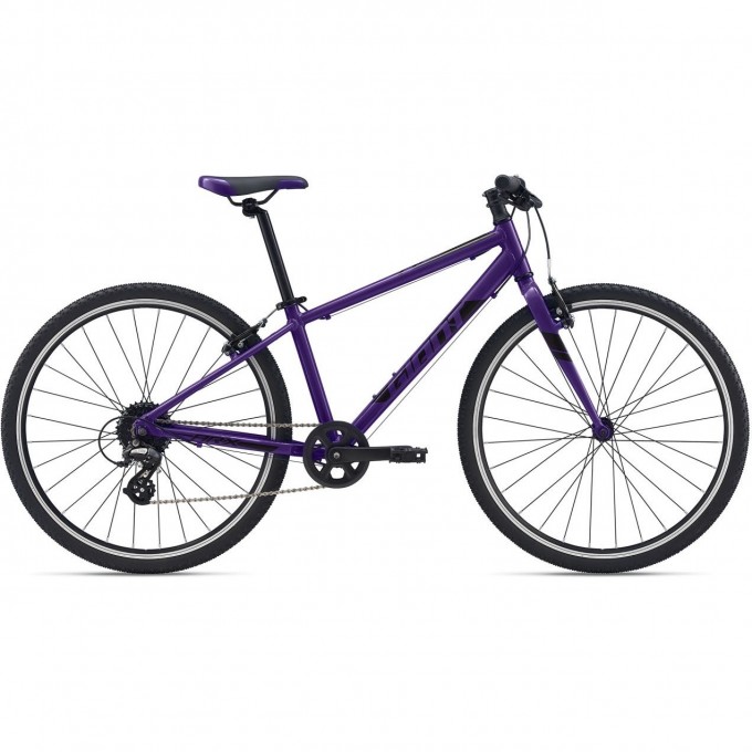 Велосипед детский GIANT ARX 26 (2021) purple 2104046 Purple