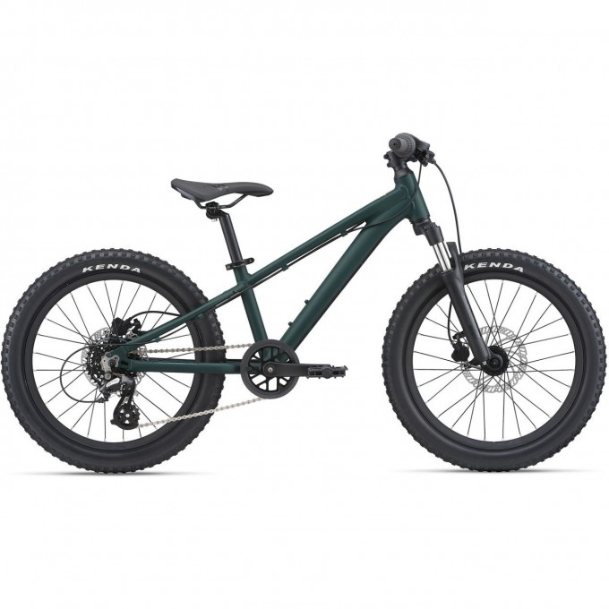 Велосипед детский GIANT STP 20 FS (2021) чёрный 2104024